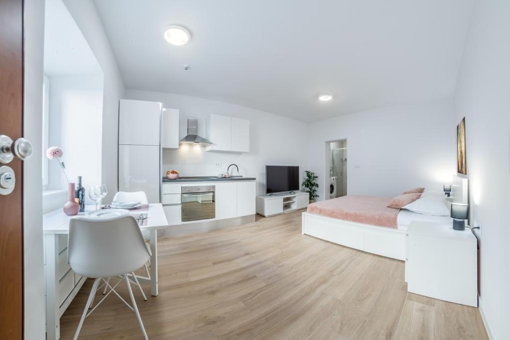 Apartment Klara Free Parking, Center 普拉 外观 照片