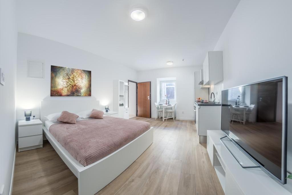 Apartment Klara Free Parking, Center 普拉 外观 照片