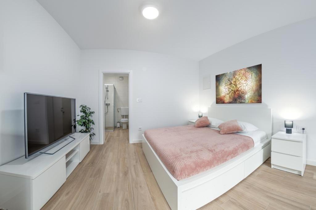 Apartment Klara Free Parking, Center 普拉 外观 照片